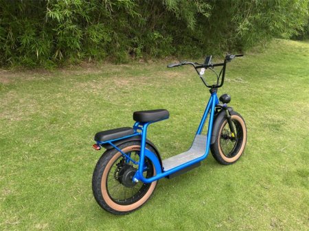 AS201 pro Off road Electric Bicycle Scooter in blue color,1000W gear motor power and the max speed reach to 34MPH with rear seat