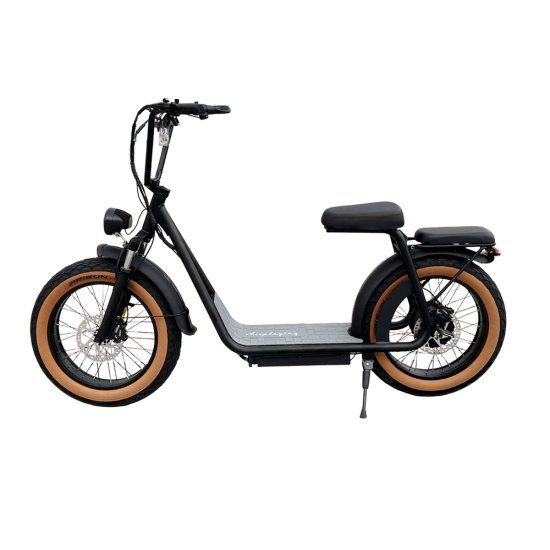 Airplaying AS201 pro Electric Motorcycle Scooter with double seat, LG/samsung Battery,1000W Gear motor power