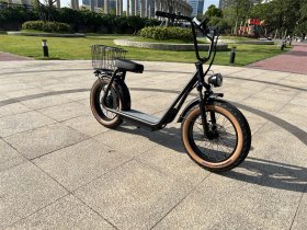 Electric Scooter with Shopping Basket