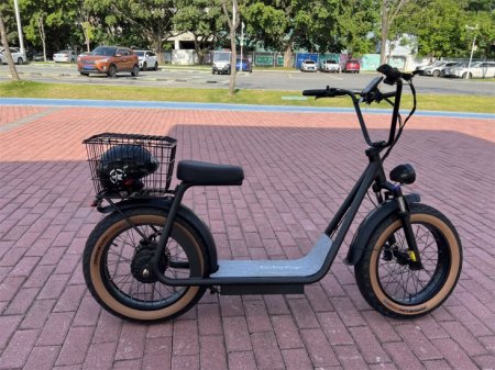 Electric Scooter with Shopping Basket