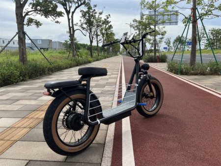 Bluetooth Electric scooter with phone holder and usb charger