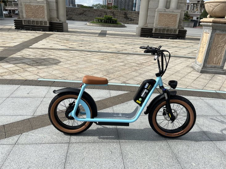 Double Battery electric scooter unbeatable long range distance