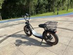 Electric Scooter with Shopping Basket