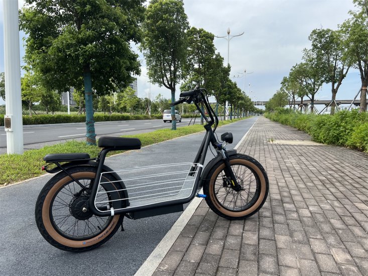 20inch Electric motorcycle scooter with pet holder carrier